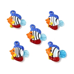 Разноцветный Подвески лэмпворк ручной работы, рыба, красочный, 31~34x29~32x14~16 мм, отверстие : 1.5~3 мм