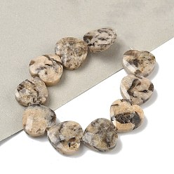 Полевой Шпаты Натуральный полевой шпат, граненые, сердце, 14.5~15x15~15.5x5.5~6 мм, отверстие : 1 мм, около 10 шт / нитка, 5.51~5.71'' (14~14.5 см)