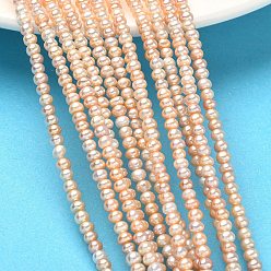Персиковый Слойка Нити из натурального культивированного пресноводного жемчуга, рондель, класс 5а+, розовые, 3.5~4 мм, отверстие : 0.5 мм, около 124 шт / нитка, 15.35 дюйм (39 см)