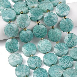 Амазонит Природных амазонит бисер нитей, плоско-круглые, граненый шестиугольный разрез, с бисером, 15~15.5x5 мм, отверстие : 1.2 мм, около 22 шт / нитка, 14.96'' (38 см)