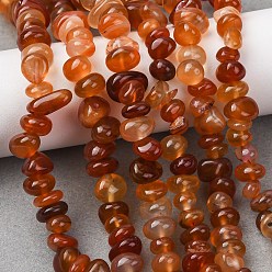 Red Agate Натуральный красный агат бисер нитей, чип, окрашенная и подогревом, упавший камень, 4.6~8x6.5~13.5x5.3~8 мм, отверстие : 1 мм, 32.28'' (82 см)