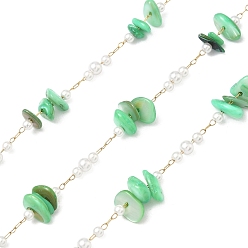 Зеленый Цепочки ручной работы из натуральных ракушек и бисера, имитирующего АБС-пластик., с 316 хирургическими цепями из нержавеющей стали, ионное покрытие (ip), несварные, с катушкой, реальный 18 k позолоченный, зелёные, ссылка: 12~15x8.5~11x6~7мм и 11x4мм