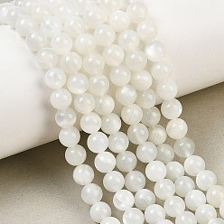 White Moonstone Круглые нити из натурального белого лунного камня, класс А, 6 мм, отверстие : 1 мм, около 63 шт / нитка, 14.96'' (38 см)