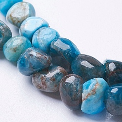 Apatite Natural Apatite Beads Strands, Nuggets, 4~9x4~7mm, Hole: 1mm, 15.5 inch(39.5cm)