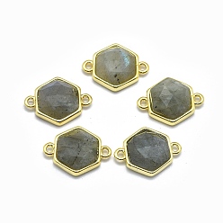 Labradorite Natural Labradorite Links connectors, with Golden Tone Brass Findings, Hexagon, Faceted, 12x16x5mm, Hole: 1.2mm