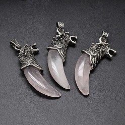 Розовый Кварц Бивень форма с волчьей антикварного серебра сплав цинка природных розовый кварц большие подвески, без свинца и без никеля , 53~57x23x10 мм, отверстие : 4.5x8 мм