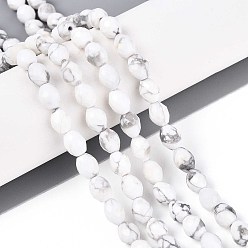 Говлит Природные Говлит бисер нитей, баррель, граненые, 5.5~6.5x5~5.5 мм, отверстие : 1~1.2 мм, около 57~61 шт / нитка, 13.98~14.17'' (35.5~36 см)