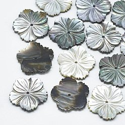 Black Black Lip Shell Beads, Flower, Black, 19x19x2~3mm, Hole: 1.2mm