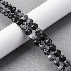 Снежный Обсидиан Природные снежинка обсидиан бисер нитей, граненый квадратный разрез, плоско-круглые, 8~8.5x4.5~6.8 мм, отверстие : 0.8~1.2 мм, около 48~49 шт / нитка, 15.08~15.35 дюйм (38.3~39 см)