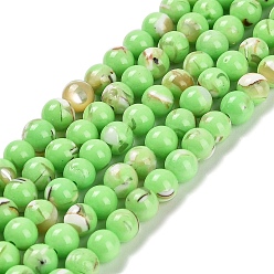 Лайм Собранные нити бусин из синтетического камня и ракушек трохус, окрашенные, круглые, желто-зеленые, 4~4.5 мм, отверстие : 0.6 мм, около 91 шт / нитка, 15.63'' (39.7 см)