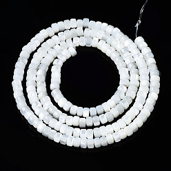 Seashell Color Natural Trochid Shell/Trochus Shell Beads Strands, Bleach, Column, Seashell Color, 3x2mm, Hole: 0.8mm, about 190~193pcs/strand, 15.75 inch(40cm)