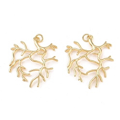 Настоящее золото 18K Латунные подвески, филиал, с прыжковых колец, без свинца и без кадмия, долговечный, стойки покрытие, реальный 18 k позолоченный, 32x29x2 мм, отверстие : 3 мм