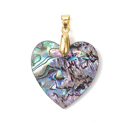 Золотой Природные пауа оболочки подвески, подвески-сердечки с латунными застежками на порожках, золотые, 30x30x2 мм, отверстие : 5x4 мм