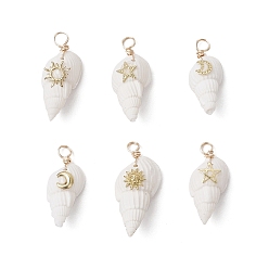 Белый 6шт 6 стили подвески из натуральных ракушек, подвески в форме ракушки с латунными дольками солнца, звезды и луны, золотые, белые, 23~26.5x11~13x8.5~11 мм, отверстие : 2.5~3.5 мм, 1 шт / стиль