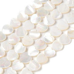Морская Ракушка Натуральный белый стеклянные бусы нити, сердце, цвет морской раковины, 9.5~10x10~10.5x2.5~3 мм, отверстие : 0.7 мм, около 42 шт / нитка, 14.96 дюйм (38 см)