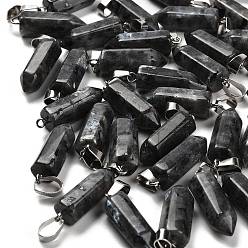 Лабрадорита Природные подвески лабрадорита, из нержавеющей стали с цветным покрытием 201 защелки из нержавеющей стали на дужках, 25.5~26.5x8~9x8~9 мм, отверстие : 7x4 мм