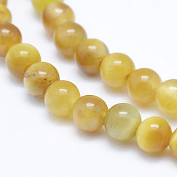 Tiger Eye Natural Tiger Eye Beads Strands, Round, 4mm, Hole: 0.5mm, about 91~92pcs/strand, 15.7 inch(40cm)