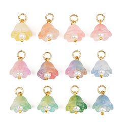 (52) Непрозрачная лаванда 12 шт. 12 цвета прозрачный стеклянный брелок, цветочный шарм, с латунной петлей и блестящей пудрой, два тона, разноцветные, 13x12x11 мм, отверстие : 3 мм, 1 шт / цвет