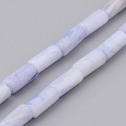 Lavender Natural Shell Bead Strands, Dyed, Column, Lavender, 8x4mm, Hole: 0.5mm, about 50pcs/strand, 15.7 inch
