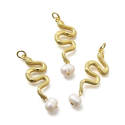 Змея Латунные микро проложить кубического циркония подвески, стойки покрытие, долговечный, без кадмия и без свинца, реальный 18 k позолоченный, с натуральной жемчужиной, змея, 35x12x5 мм, отверстие : 3.6 мм
