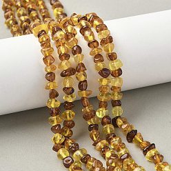 Янтарный Янтарные шарики нити, самородки, упавший камень, 6~8x5~7x3~5 мм, отверстие : 0.6 мм, около 86 шт / нитка, 14.76 дюйм (37.5 см)