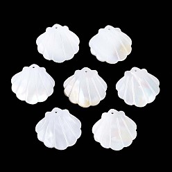 Морская Ракушка Подвески из натуральной ракушки, подвески в форме ракушек, цвет морской раковины, 21~21.5x21.5~22x3~3.5 мм, отверстие : 1.2 мм