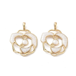 Light Gold Подвески из смолы из металлического сплава, , без кадмия, без никеля и без свинца, золотой свет, 28x21.5x5.5 мм, отверстие : 4.2x3.2 мм
