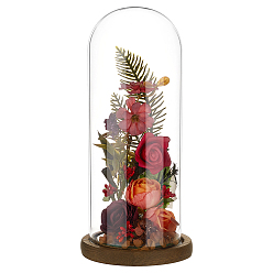 Coconut Brown Arch Glass Dome Cover, Decorative Display Case, Cloche Bell Jar Terrarium with Wood Base, Coconut Brown, 122x265mm