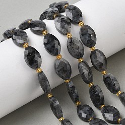 Larvikite Натуральные нити бус из ларвикита, граненые, лошадь форма глаз, с бисером, 14x9x6 мм, отверстие : 1.6 мм, около 23 шт / нитка, 15.16'' (38.5 см)