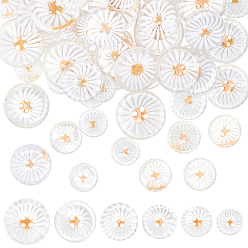 Белый 72шт 6 стили смоляные кнопки, аксессуары, 4-луночное, плоско-круглые, белые, 18~30 мм, 12 шт / стиль