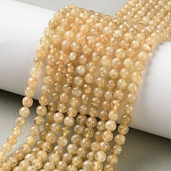 Гранат Бусины из натурального желтого граната, круглые, 4 мм, отверстие : 1 мм, около 86 шт / нитка, 15.63'' (39.7 см)