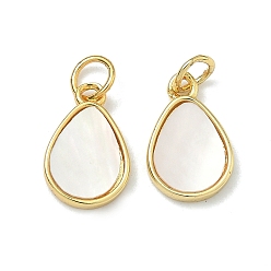 Настоящее золото 18K Подвески в виде чайных капель из натуральной белой ракушки, с латунной, без свинца и без кадмия, стойки покрытие, долговечный, реальный 18 k позолоченный, 13x8.5x2.5 мм, Перейти кольцо: 5x0.7 мм, внутренний диаметр: 3.5 мм