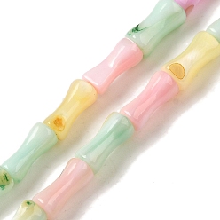 Бамбук Нити бусин из натуральных пресноводных ракушек, окрашенные в цвета радуги, разноцветные, бамбук, 8x3 мм, отверстие : 0.5 мм, около 48 шт / нитка, 15.16 дюйм (38.5 см)