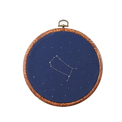 Gemini DIY Embroidery Kits, Including Embroidery Cloth & Thread, Needle, Embroidery Hoop, Instruction Sheet, Gemini, 150x150mm