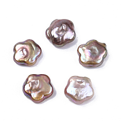 Pourpre Moyen Perles de perles de keshi naturelles baroques, perle d'eau douce, pas de trous / non percés, fleur, support violet, 11~11.5x11.5~12x5~5.5mm
