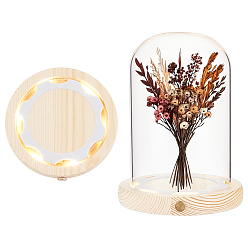 Arch Стеклянный купол, декоративная витрина, Террариум в виде стеклянного колпака с деревянной подставкой и светодиодной подсветкой., арка, 125.5x170 мм