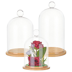 Бланшированный Миндаль 3шт 3 стили стеклянный купол крышка, декоративная витрина, террариум в форме колокольчика с бамбуковым основанием, для подарка своими руками сохраненного цветка, бланшированный миндаль, 103~113x146~195 мм, 1 шт / стиль