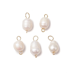 Золотой Натуральный пресноводный жемчуг рисовые коннекторы подвески, белые, золотые, 15~17.5x8~8.5 мм, отверстие : 3.5 мм
