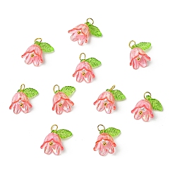 Камелия Прозрачные акриловые подвески, с латунной фурнитурой , цветок, камелия, 15 мм, отверстие : 3 мм