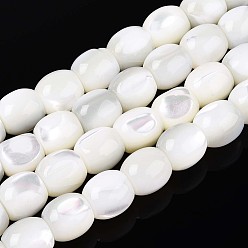 Кремово-белый Натуральная оболочка из трохидных оболочек, баррель, кремово-белые, 9~10x8.5~10 мм, отверстие : 1 мм, около 40 шт / нитка, 15.75 дюйм (40 см)