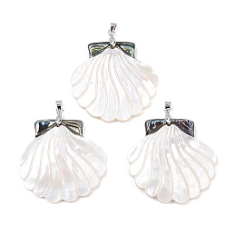 Морская Ракушка Подвески из натуральной ракушки пауа и резные белые ракушки, подвески в форме ракушек с латунными дужками, платина, стойки покрытие, цвет морской раковины, 40.5x40.5~42.5x4~4.5 мм, отверстие : 4.5x4 мм