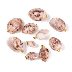Sienna Brass & Natural Spiral Shell Pendants, Conch Charms, Light Gold, Sienna, 18~37x10~26x7~21mm, Hole: 4~5x3.5mm