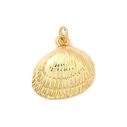 Shell Shape Латунные подвески, без кадмия и без свинца, реальный 16 k позолоченный, с целью перехода в кольце, формы раковины, 19x19x5 мм, отверстие : 3.4 мм