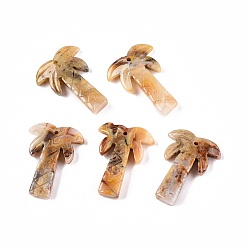 Сумасшедший Агат Подвески из натурального сумасшедшего агата и кокосовой пальмы, прелести пальмы, 27~28x19~22x5~6 мм, отверстие : 1.2~1.5 мм