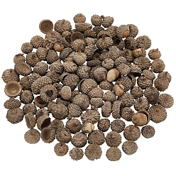 Кокосово-Коричневый 200шт. деревянных желудей для декоративных украшений, для украшения рабочего стола домашнего офиса, кокосового коричневый, 10~22x7~16.5 мм