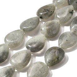 Лабрадорита Природные лабрадорита бисер нитей, слеза, 16x12x5~6 мм, отверстие : 1 мм, около 25 шт / нитка, 15.16''~15.75'' (38.5~40 см)