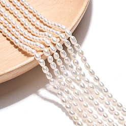 Кремово-белый Нити из натурального культивированного пресноводного жемчуга, рис, оценка 4ab, кремово-белые, 3.5~4.5x2.5~3 мм, отверстие : 0.5 мм, около 103~106 шт / нитка, 15.35~15.55 дюйм (39~39.5 см)