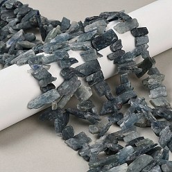 Кианит Натуральный кианитовые бисер пряди, самородки, Топ пробуренной, 8~32x3.5~11x4~7 мм, отверстие : 1~1.2 мм, около 58~62 шт / нитка, 15.35~15.75 дюйм (39~40 см)