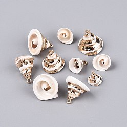Light Gold Подвески из натуральных морских ракушек, покрытые гальваническим способом, подвески в форме ракушек, с железными петлями и латунной фурнитурой, цветочный белый, золотой свет, 11~21x11~22x11~22 мм, отверстие : 1.2~1.8 мм
