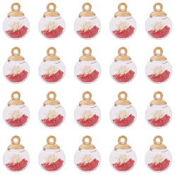 Светло-сиамский 20 шт. подвески в виде прозрачных стеклянных шаров, со стразами и засушенным цветком внутри и пластиковыми подвесками ccb, мяч, Light Siam, 16 мм, отверстие : 2 мм